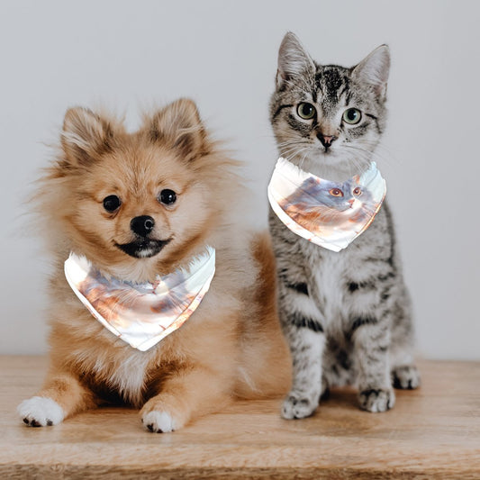 Chiffon pet scarf