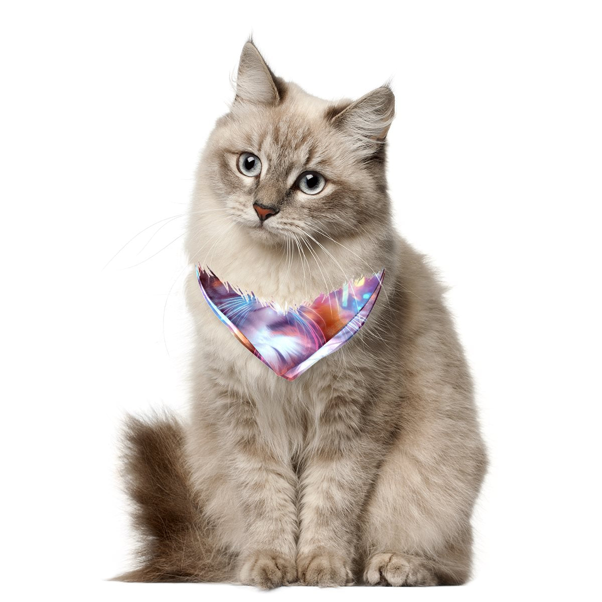 Chiffon pet scarf