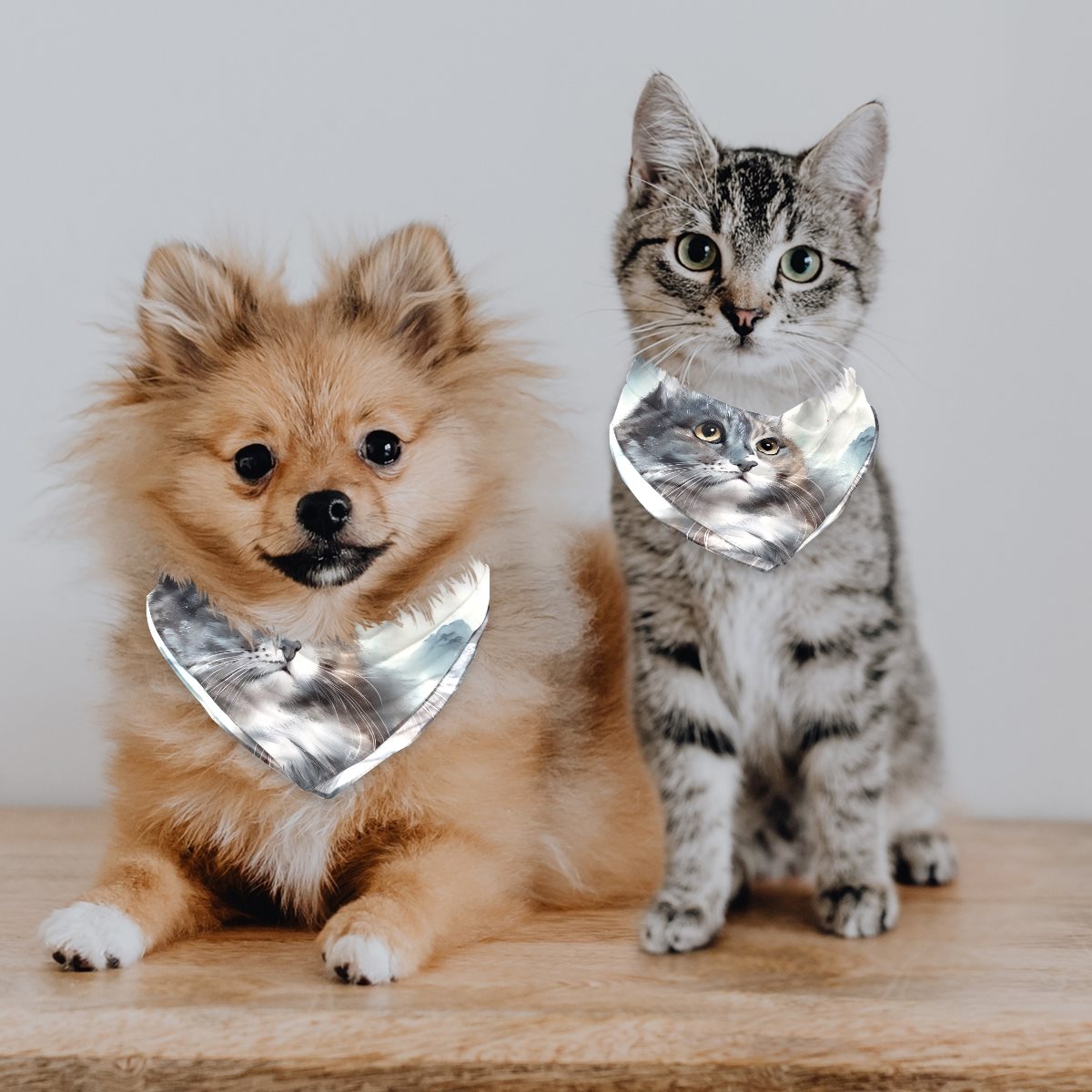 Chiffon pet scarf