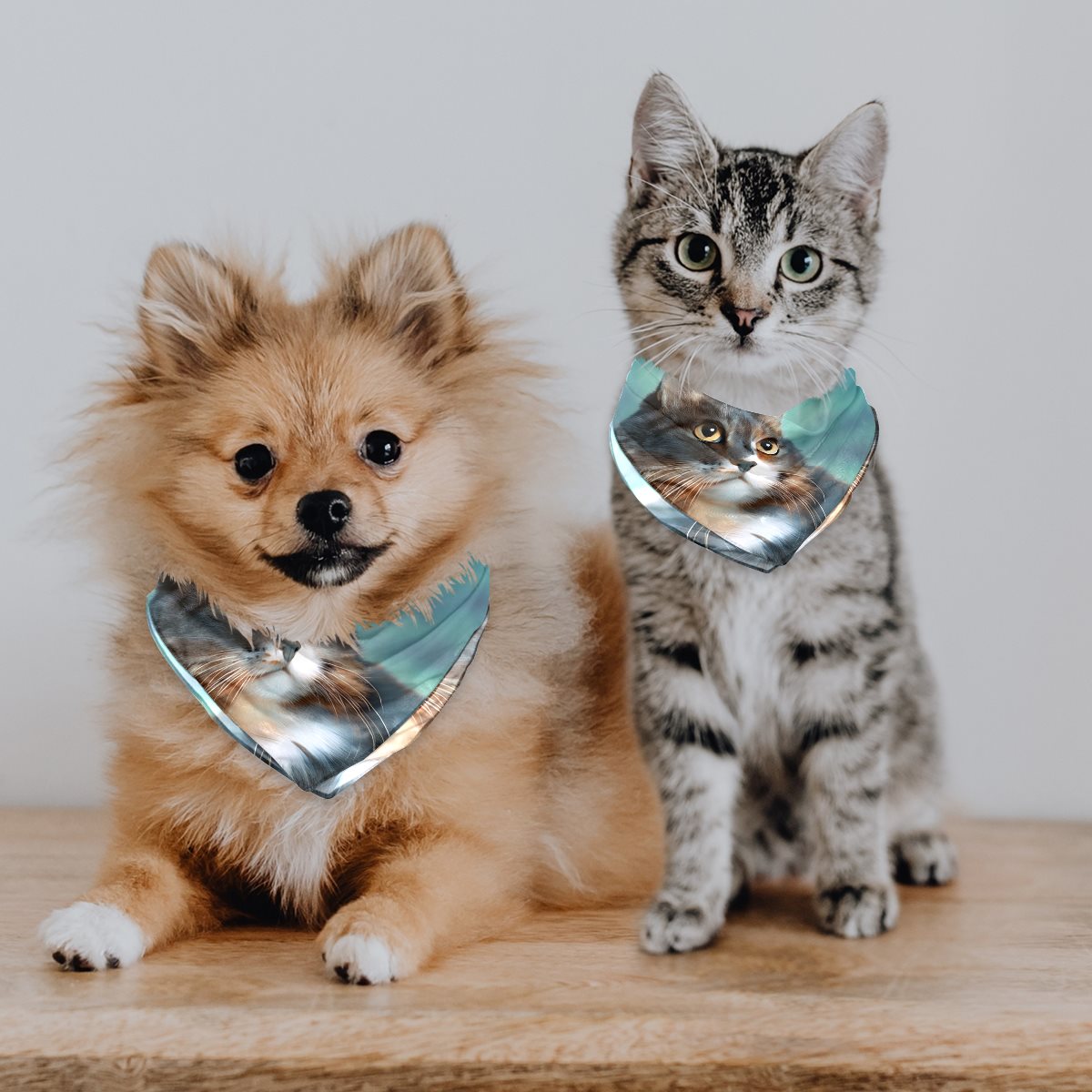 Chiffon pet scarf