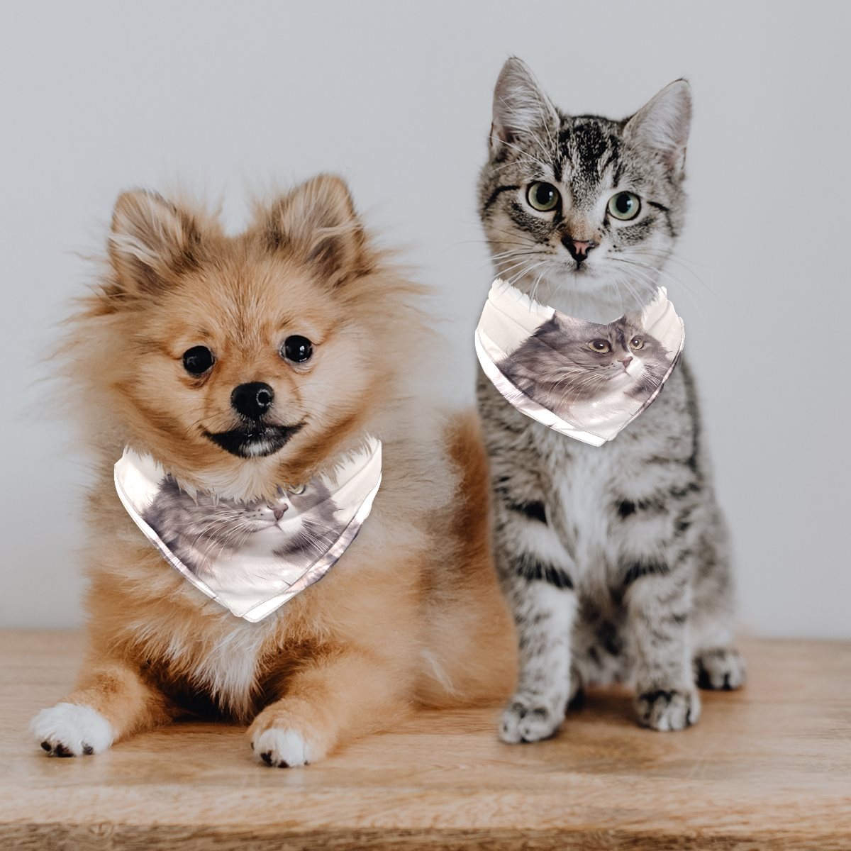 Chiffon pet scarf