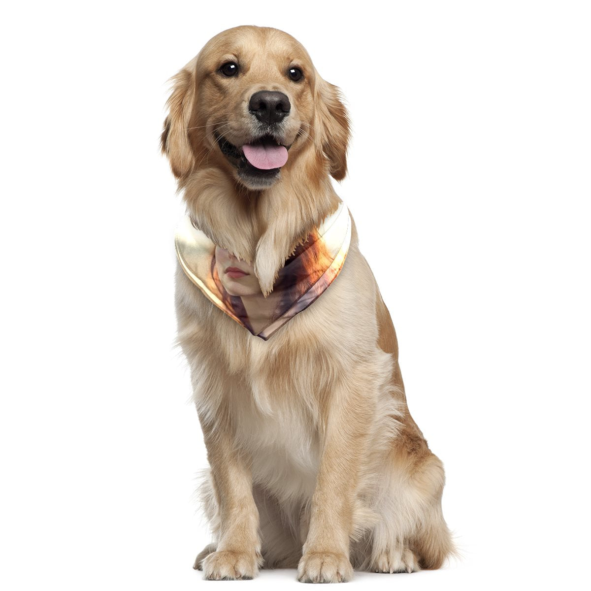 Chiffon pet scarf-002