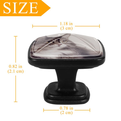 ABS Drawer Pulls Handle （quadrate）-12 pieces