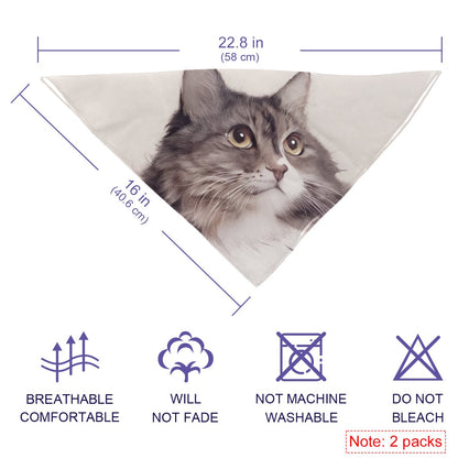Chiffon pet scarf