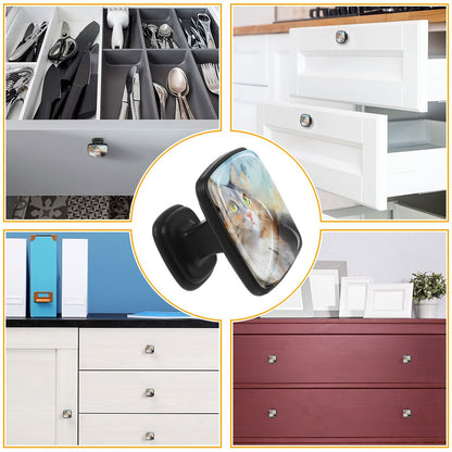 ABS Drawer Pulls Handle （quadrate）-12 pieces