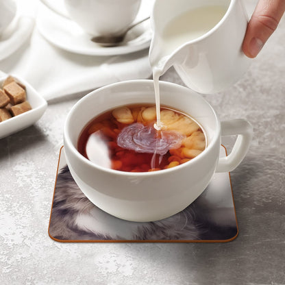 Microfiber leather Coaster (6piece)