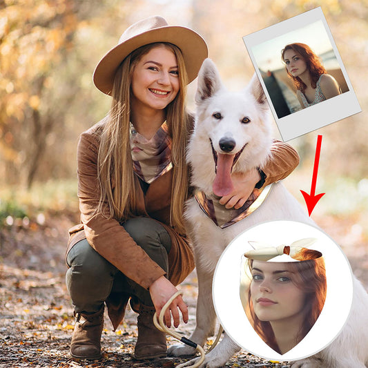 Chiffon pet scarf-002