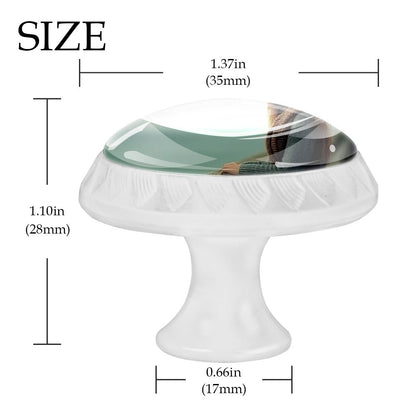 White Round Drawer Pulls Handle